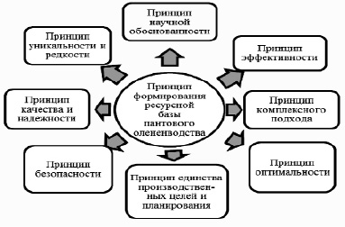 pic_ershova_2.tif