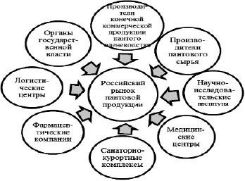 pic_ershova_3.tif
